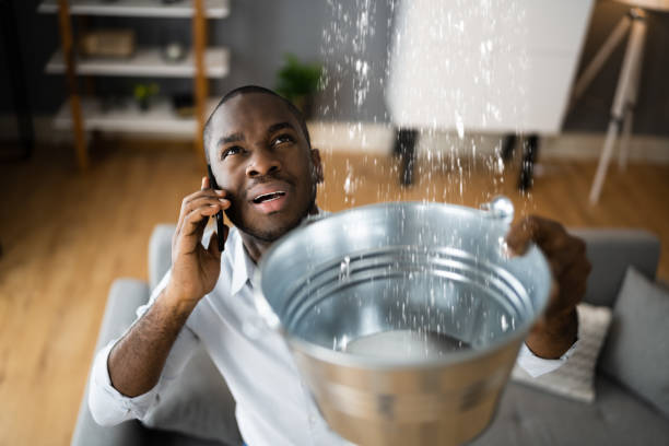 Best Mold removal after water damage  in Tome, NM